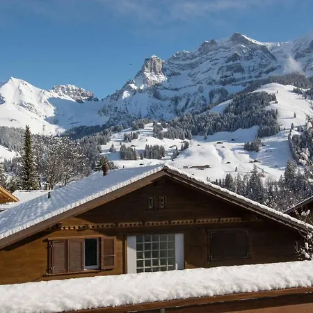 Baldrian C14 Apartment Adelboden
