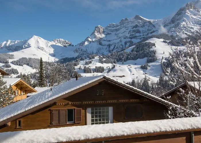 Baldrian C14 Lejlighed Adelboden