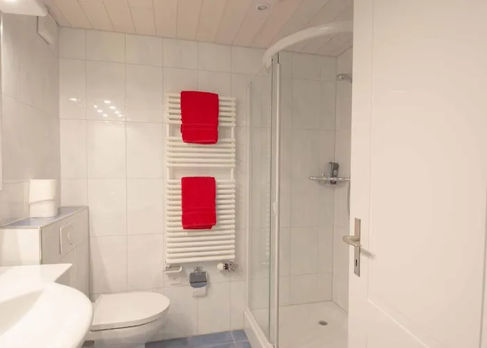 Baldrian C14 Lejlighed Adelboden