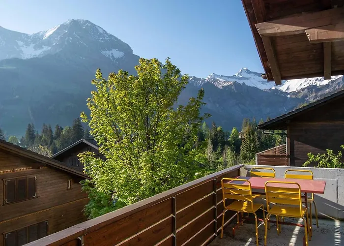 Baldrian C14 Appartamento Adelboden